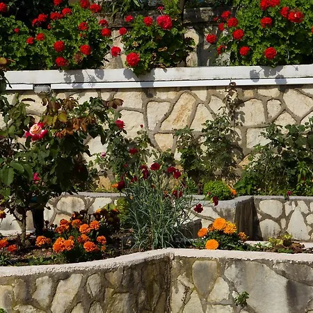 Jimmy's House * نِكيانا