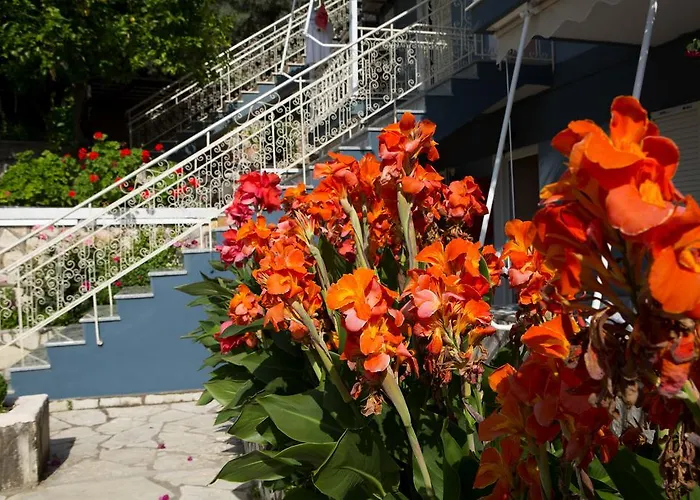 Jimmy's House Appartamento *