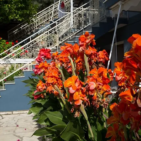 Jimmy's House Lägenhet *