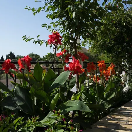 Jimmy's House Lägenhet Nikiana