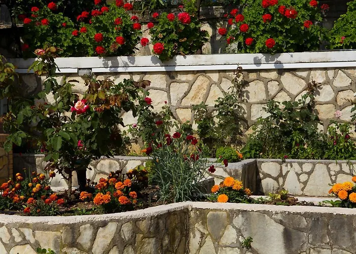 Jimmy's House * Nikiana