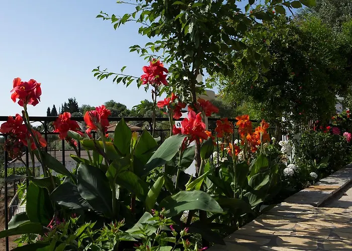 Jimmy's House Apartment Nikiana